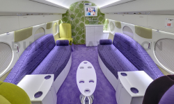 Gulfstream with funky purple and lime green interior