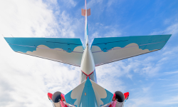 Tail view of the newly painted Ripley's Believe It or Not! Citation by Duncan Aviation
