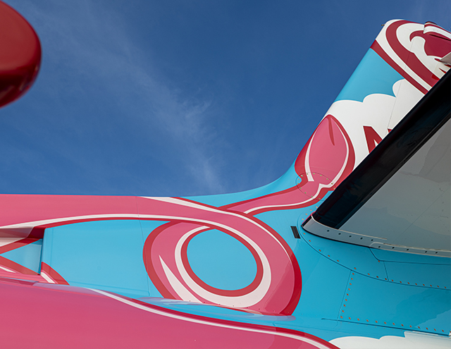 A pig tail on the tail of the Ripley's Believe It or Not! Citation by Duncan Aviation