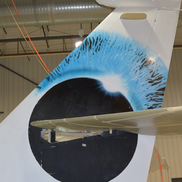 Virgin Galactic Aircraft Paint